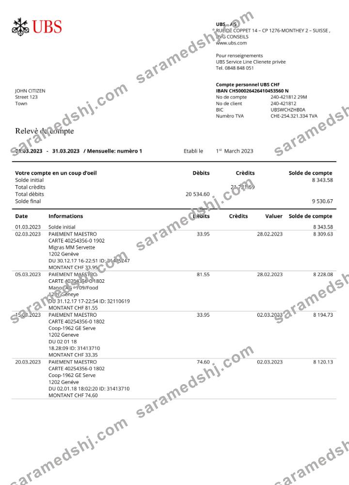 France UBS bank statement Word and PDF template